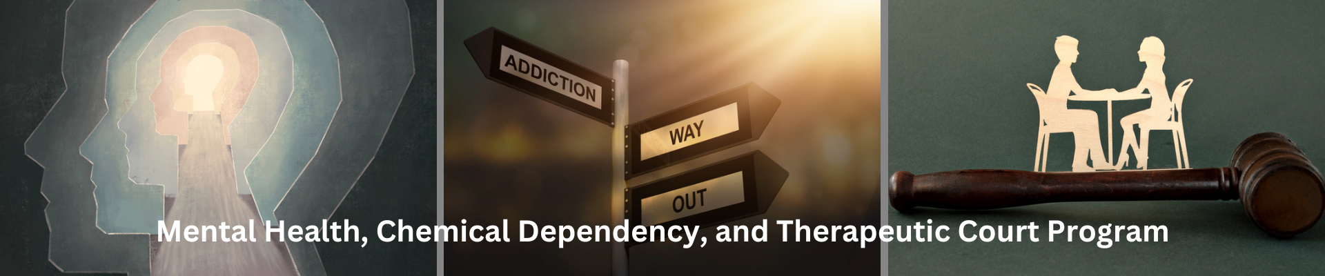mental health, chemical dependency, and therapeutic court program banner